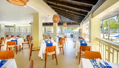 Coral Costa Caribe