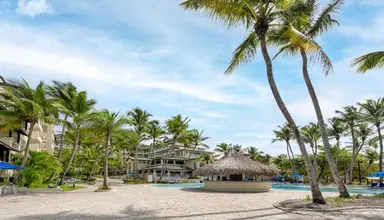 Coral Costa Caribe