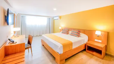 Coral Costa Caribe