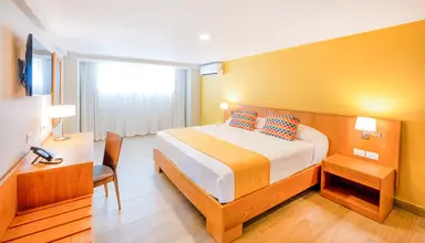 Coral Costa Caribe