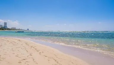 Coral Costa Caribe