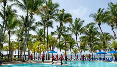 Coral Costa Caribe