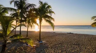 Coral Costa Caribe