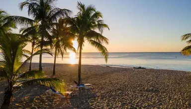 Coral Costa Caribe
