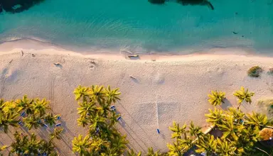 Coral Costa Caribe