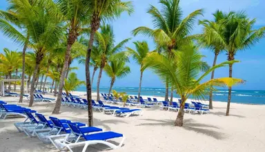 Coral Costa Caribe