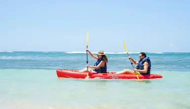Coral Costa Caribe