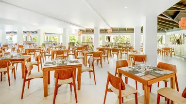 Coral Costa Caribe