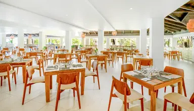 Coral Costa Caribe
