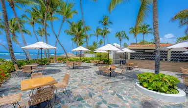 Coral Costa Caribe