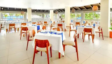 Coral Costa Caribe