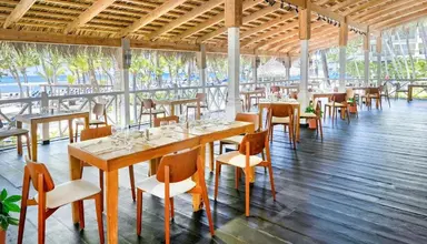 Coral Costa Caribe