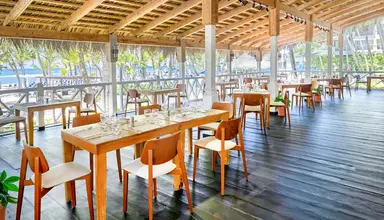 Coral Costa Caribe