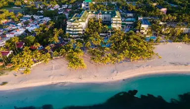 Coral Costa Caribe