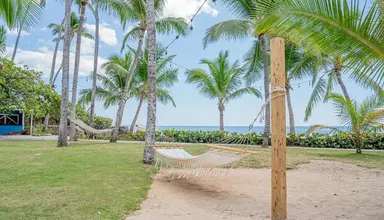 Coral Costa Caribe