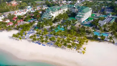 Coral Costa Caribe