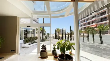 Coral Ocean View