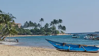 Coral Sands