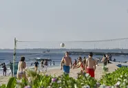 Coral Sands
