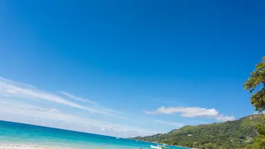 Coral Strand