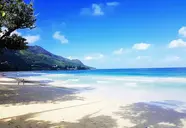 Coral Strand