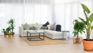 Coral Suites