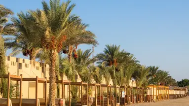 Coral Sun Beach