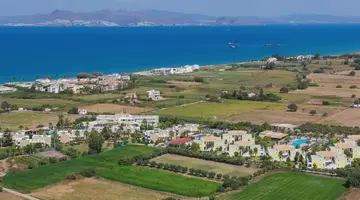 Corali
