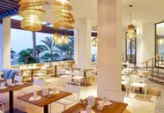 Corallium Dunamar