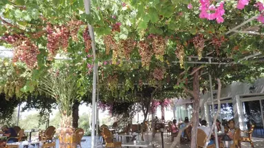 Corfu
