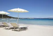 Cormorano (Baia Sardinia)