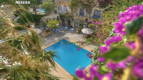 Hotel Cornucopia