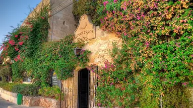 Cornucopia