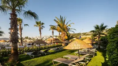 Costa Bitezhan