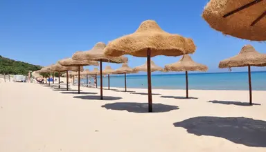 Costa dei Fiori