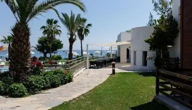Costa Luvi