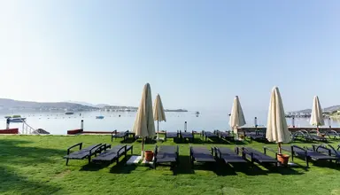 Costa Luvi