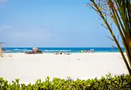 Cotillo Lagos
