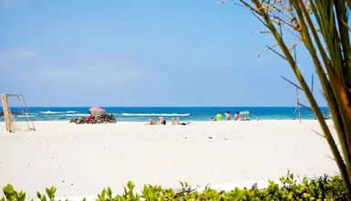 Cotillo Lagos