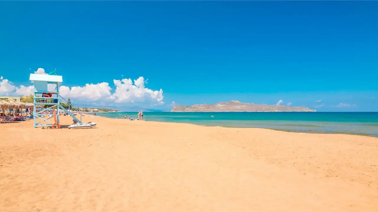Creta Palm