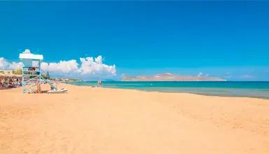Creta Palm