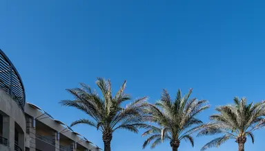 Cretan Dream Resort & Spa