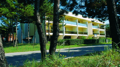 Croce del Sud