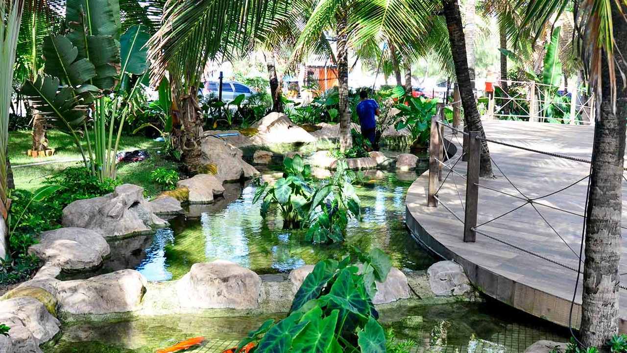 Crocobeach