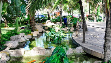 Crocobeach