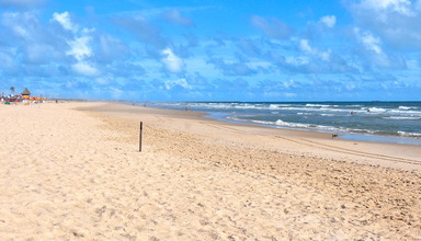 Crocobeach
