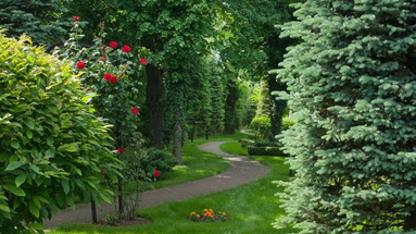 Crown Piast Park
