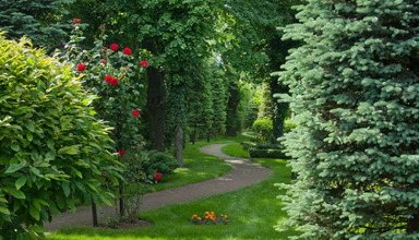 Crown Piast Park