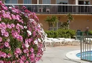 Cye Holiday Centre