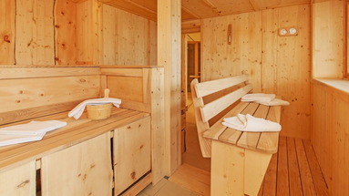 Dachstein Alpenhotel